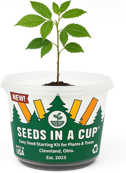 Seeds In A Cup® Plant Grow Kit – 60+ Varieties of Vegetables, Herbs & Flowers | Indoor & Outdoor Seed Starter for Kids & Adults | Grow Your Own Garden | Gardening Gift (Basil)