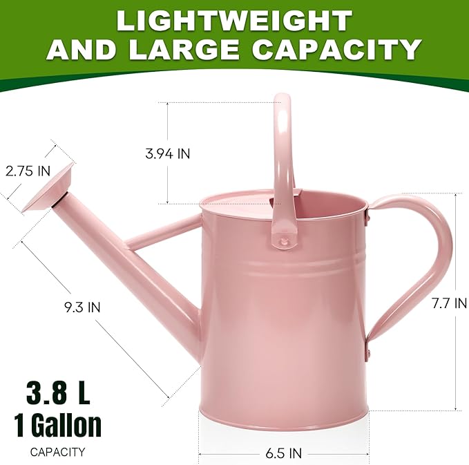 Metal Watering Can with Removable Spout, Galvanized Watering Can, Perfect for Indoor Use and for Outdoor Use (1 Gallaon, Pink)
