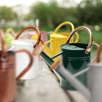 Metal Watering Can with Removable Spout, Galvanized Watering Can, Perfect for Indoor Use and for Outdoor Use (1 Gallaon, Pink)