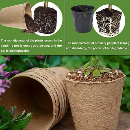 3T GROUP 50 Pcs 3 Inch Small Plant Pots,Compostable Flower Pots for Plants,Biodegradable Seed Pots,Disposable Planting Peat Pot Cups with Labels for Vegetables,Fruit