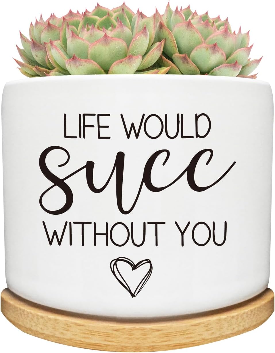 Life Would SUCC Without You Succulent Cactus Cute Planter Pots with Bamboo Tray, Office Kitchen Home Windowsill Indoor Decor, Gift for Friends Mom Coworkers Teachers Plant Lovers