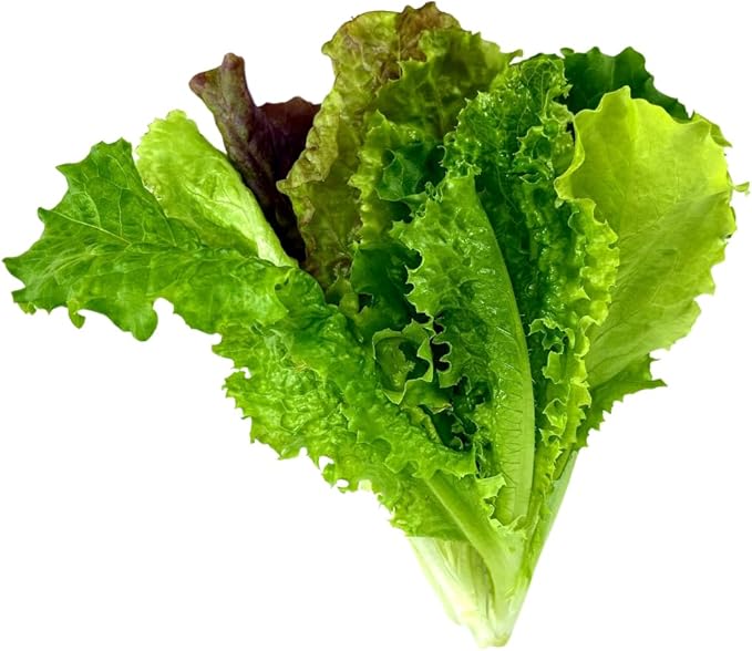 Farmers Bundle: Ready-to-Plant Seedlings, Starts, Plugs, Garden-Ready, Live Plants, Transplants, Pre-sprouted, for Soil & Hydroponic Gardens (Mini (6 seedlings))