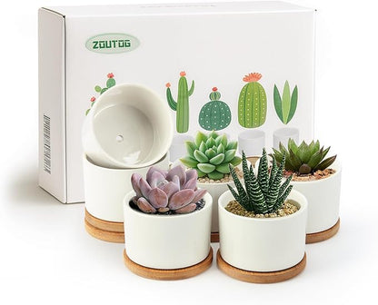ZOUTOG Succulent Pots 3.1 Inch,6 Pack Succulent Planters,Small Pots for Plants with Drainage and Tray,White Ceramic Flower Planters for Indoor Plants,Home,Office,Desk