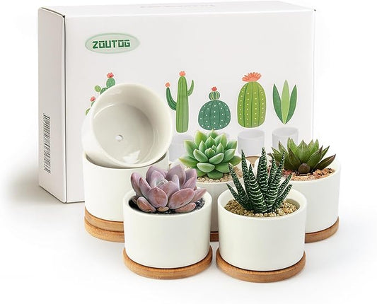 ZOUTOG Succulent Pots 3.1 Inch,6 Pack Succulent Planters,Small Pots for Plants with Drainage and Tray,White Ceramic Flower Planters for Indoor Plants,Home,Office,Desk