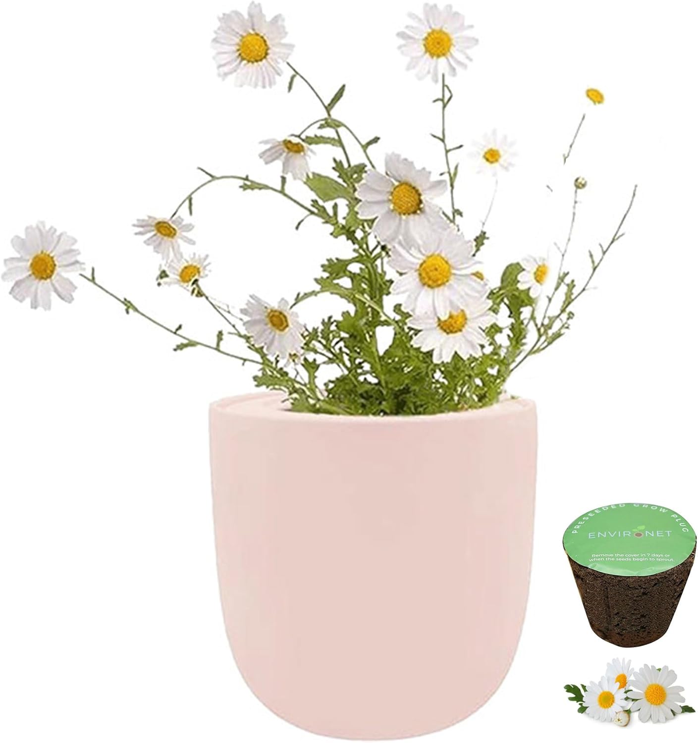 Hydroponic Growing Kit, Self-Watering Garden Starter Kit with Pink Ceramic Pot and Seeds, (Chamomile)