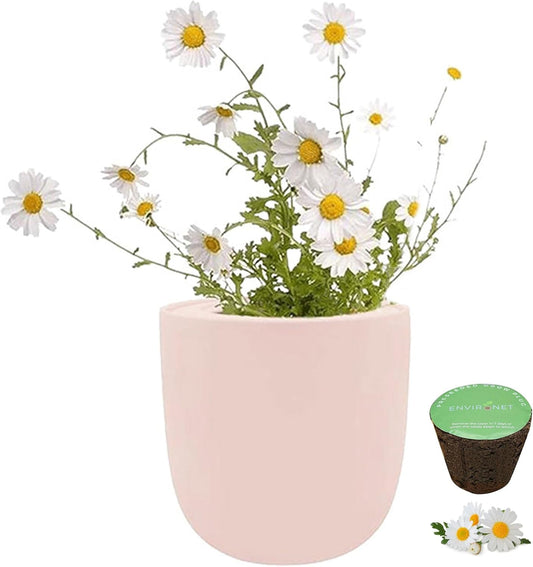 Hydroponic Growing Kit, Self-Watering Garden Starter Kit with Pink Ceramic Pot and Seeds, (Chamomile)
