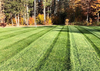 Envy Turf Type Tall Fescue Grass Seed - 25lbs. - 100% Weed Free - Drought Tolerant - Disease Resistant - Dark Green Color