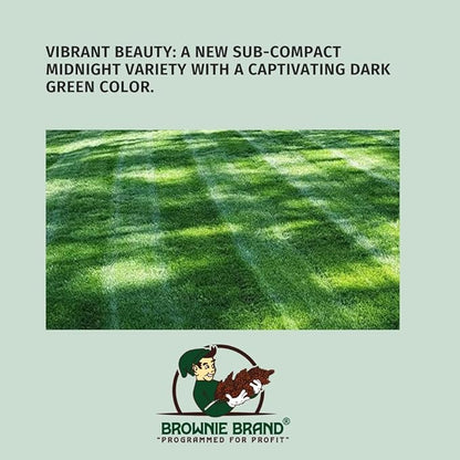 Brownie Brand Kentucky Bluegrass Seed – Premium Lawn Seed for Overseeding, Repairing Bare Spots, and Growing Thick Cool-Season Bluegrass Grass Turf