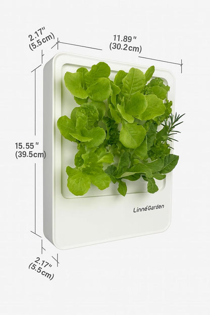 Indoor Garden Hydroponic System with LED Grow Light Indoor herb Garden, Indoor Garden Hydroponic System with LED Grow Light (White)