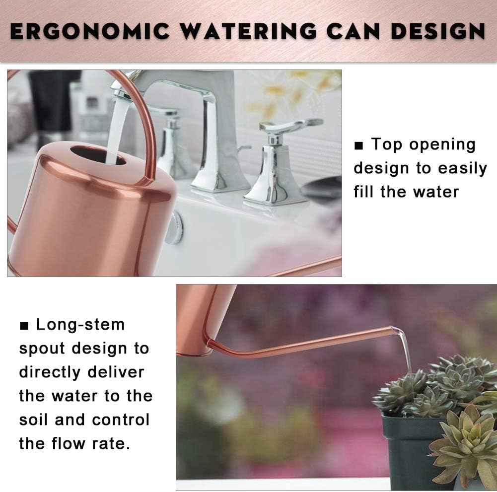 Remiawy Watering Can Indoor Outdoor Stainless Steel Watering Cans for House Plants Long Spout Water Can for Succulent Bonsai Garden Flower(40oz/1300ml)