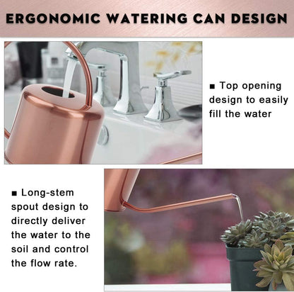 Remiawy Watering Can Indoor Outdoor Stainless Steel Watering Cans for House Plants Long Spout Water Can for Succulent Bonsai Garden Flower(40oz/1300ml)