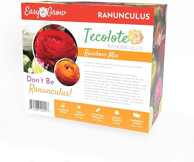 Easy to Grow Ranunculus Tecolote Rainbow Mix - 50 Plant Bulbs Value of Mixed Color Flowers in Spring, Full Sun Mediterranean