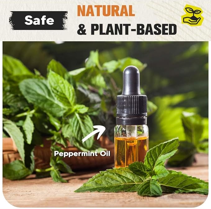 Pest Repellent, Mouse Repellent, Rodent Repellent for Indoor/Outdoor, Natural Rat Repellent for House, Keep Mice, Roach, Ant and Spider Away from Home, Protects 120 sq ft - 8P