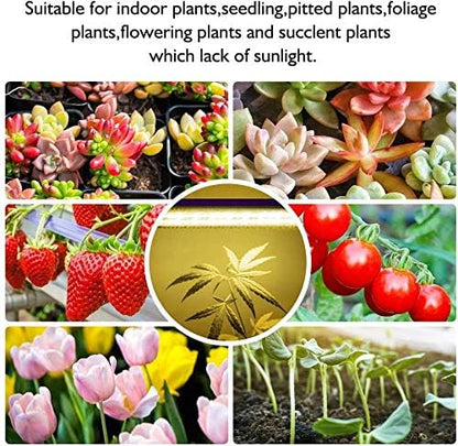 LED Grow Lights Strips for Indoor Plants with Auto ON & Off Timer, T5 Sunlike Full Spectrum Grow Lights Bar Growing Lamps for Greenhouse Shelves Hydroponics Succulent, 4 Dimmable Levels