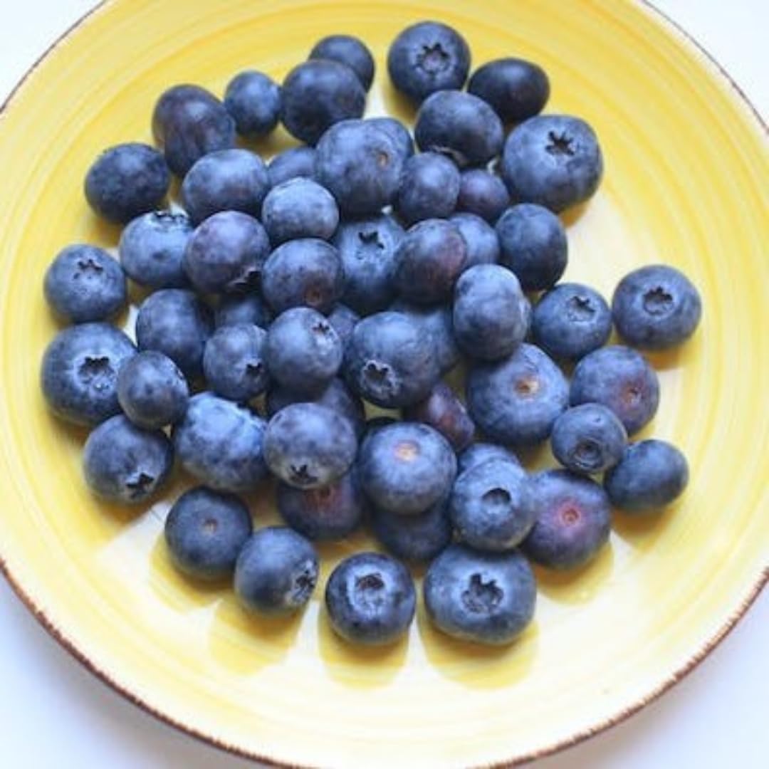 Pink Lemonade Blueberry (Emerald)