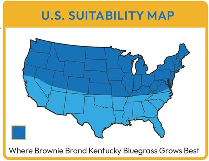 Brownie Brand Kentucky Bluegrass Seed – Premium Lawn Seed for Overseeding, Repairing Bare Spots, and Growing Thick Cool-Season Bluegrass Grass Turf