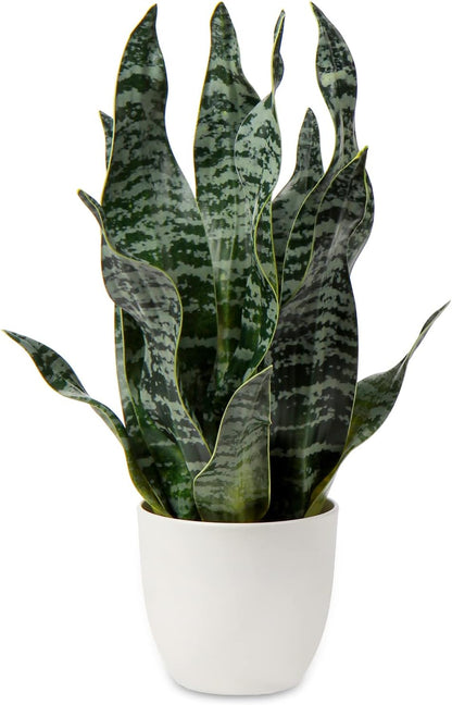 Hollyone Artificial Snake Plant Potted Faux Sansevieria Trifasciata Plants, 16.5" Tropical Fake Snake Plants in White Pots for Home Office Desk Outdoor Décor Housewarming Gift
