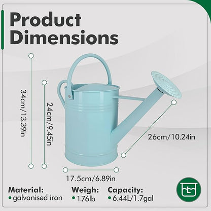 Galvanized Iron Watering Can for Indoor Plants, DIY Watering Cans for House Plant Garden Flower, Long Spout Water Can for Outdoor Watering Plants 7.57L 2 Gallon (Blue)