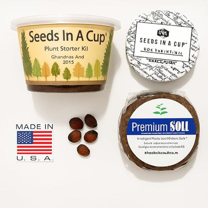 Seeds In A Cup® Plant Grow Kit – 60+ Varieties of Vegetables, Herbs & Flowers | Indoor & Outdoor Seed Starter for Kids & Adults | Grow Your Own Garden | Gardening Gift (Cantaloupe)