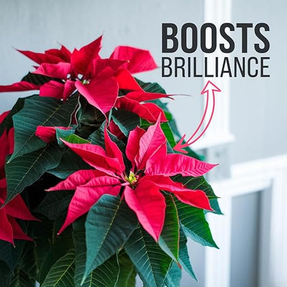 Gardenera Poinsettia Plant Fertilizer - 3-1-2 NPK - Organic Liquid Plant Food for Christmas Flowers and Trees - 32oz Concentrate