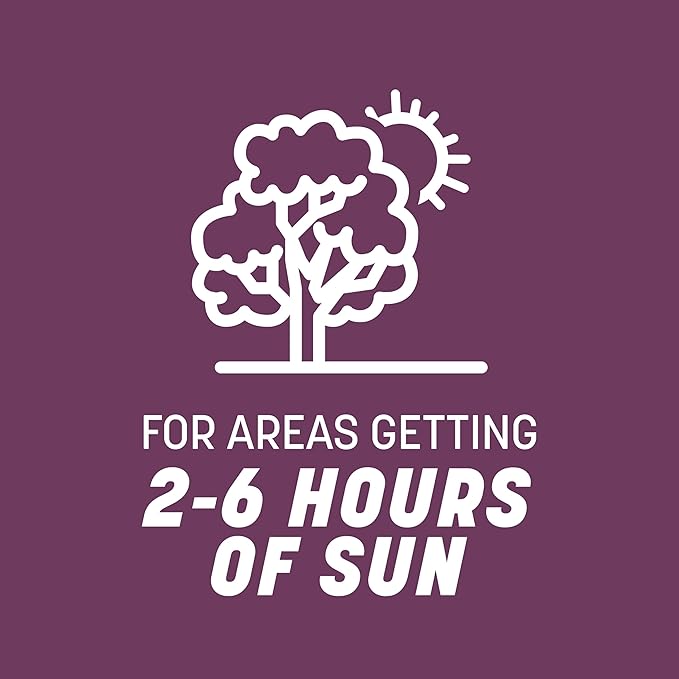 Pennington The Rebels Tall Fescue Shady Grass Seed Mix 7 lb