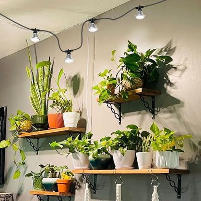 SANSI Outdoor LED Grow Lights,IP65 Waterproof String Grow Light,Full Spectrum 6-Light 72W Upgraded Optical Lens with 22Ft Cord for Veg Seedling,Flower,Greenhouse Indoor or Outdoor