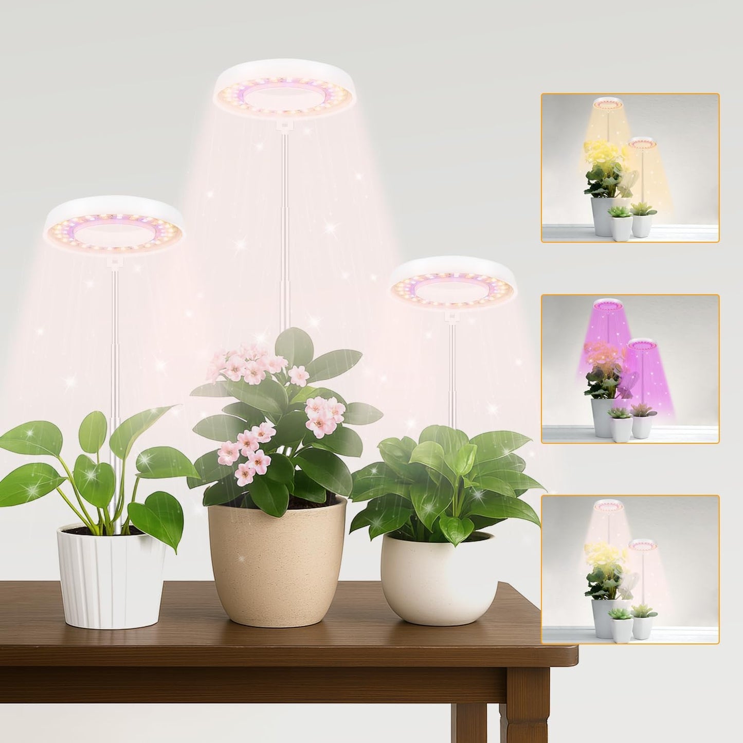 GooingTop LED Grow Light, Halo Plant Growing Lamp for Indoor Plants Growth, Full Spectrum Low Light for Small Plants,Timer 4/8/12/18 Hrs & Variable Spectrum White Red Blue,3 Pack