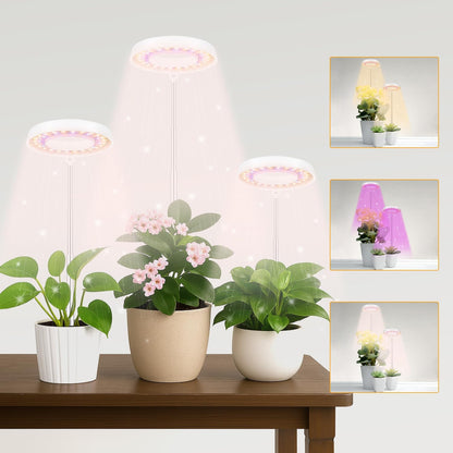 GooingTop LED Grow Light, Halo Plant Growing Lamp for Indoor Plants Growth, Full Spectrum Low Light for Small Plants,Timer 4/8/12/18 Hrs & Variable Spectrum White Red Blue,3 Pack