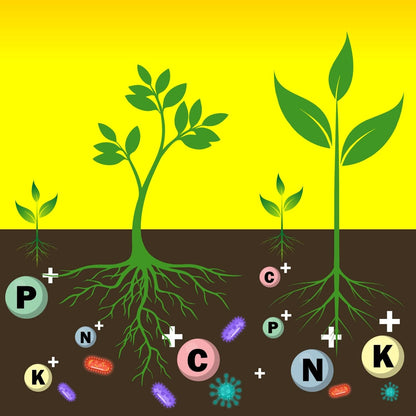 Old Potters Organic Compost - Plant Based Potting Soil - Home, Garden Fertilizer - Complete Food - Boosts Plant Growth - Use for Indoor and Outdoor Farming ~25 lbs (24 Quarts)