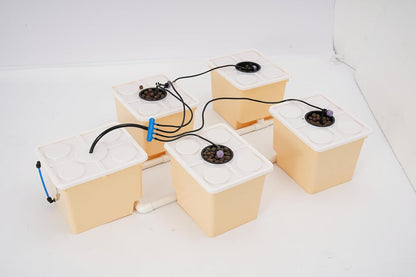 DWC Hydroponic Growing System, 5-Bucket 11L Deep Water Culture Indoor Planting Kit, Drip Irrigation Garden System with Pump, Indoor Gardening Grow Kit, for Vegetables, Herbs, and Fruits