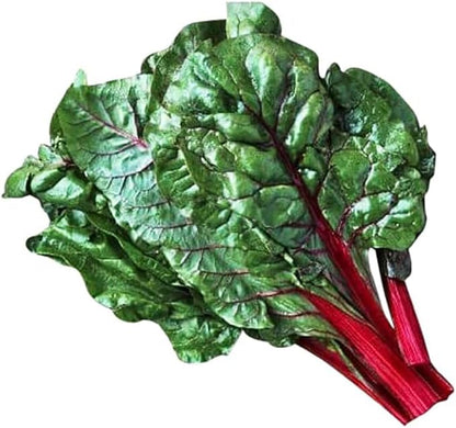 Rhubarb Swiss Chard - Delicious and Nutritious… - Delicious and Nutritious - Approximately 175 Seeds