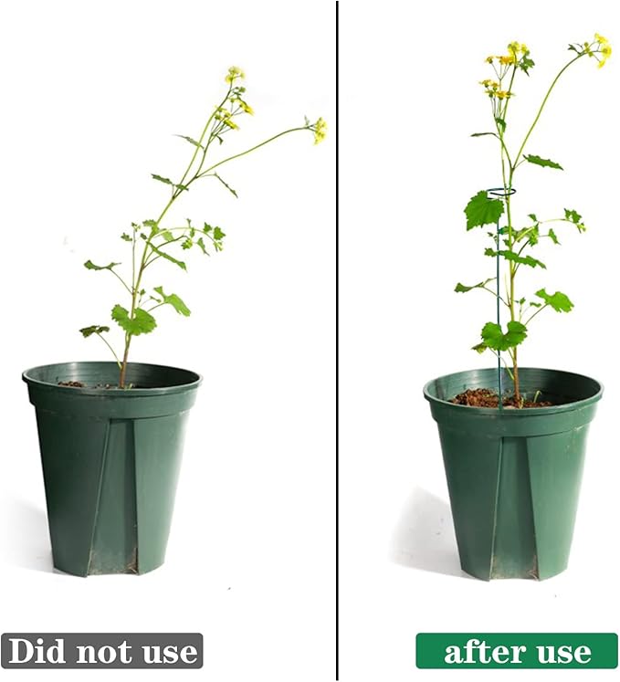 8 Pack Plant Stakes,Plant Support Stakes for Two Sizes(16 or 32 Inches),Plant Stakes for Outdoor Plants,Garden Flower,Tomato(Green)