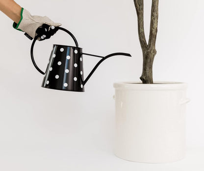 Kate Spade New York 2.5 Liter Indoor Watering Can, Metal Watering Can for House Plants, Cute Gardening Tool for Women, Picture Dot