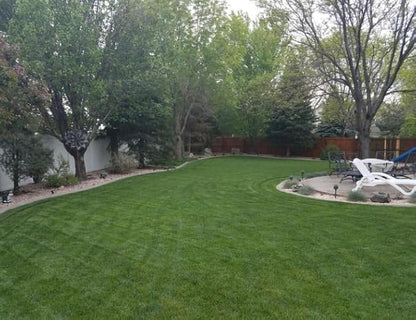 Brownie Brand Kentucky Bluegrass Seed – Premium Lawn Seed for Overseeding, Repairing Bare Spots, and Growing Thick Cool-Season Bluegrass Grass Turf