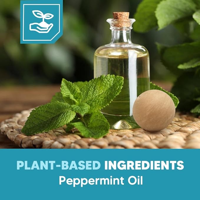 Rodent Repellent, Mouse Repellent, Mice Repellant Indoor, Rat Deterrent, Keep Mice Out of Garage/Car/Shed/Cabin, Peppermint Balls for Outdoor Use, Safe and Easy-4Pcs