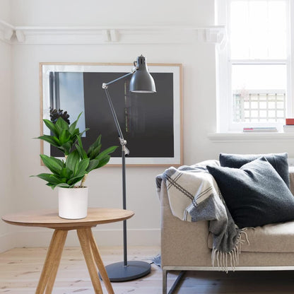 Hollyone Large Artificial Agave Plants Fake Three-Head Agave Succulent Plant Potted 15" Faux Plant in White Pot Succulent Aloe Plant Indoor for Desk Modern Home Decor