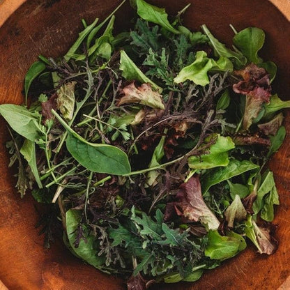 Powerhouse Heirloom Spring Mix - 500 Seeds - Specialty Blended Lettuce and Greens Mix, Flavorful & Colorful, Non-GMO Heirloom Greens Seeds for Planting in The Home Garden, Thresh Seed Company