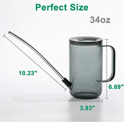 Indoor Plant Watering Can(34oz), Watering Can for Indoor Plants, Flowers, Succulents, with Plant Mister Spray Bottle(10oz)