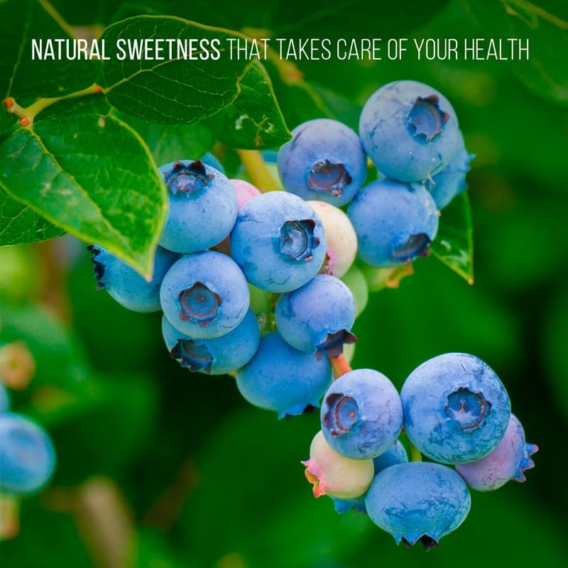 Pink Lemonade Blueberry (Biloxi)