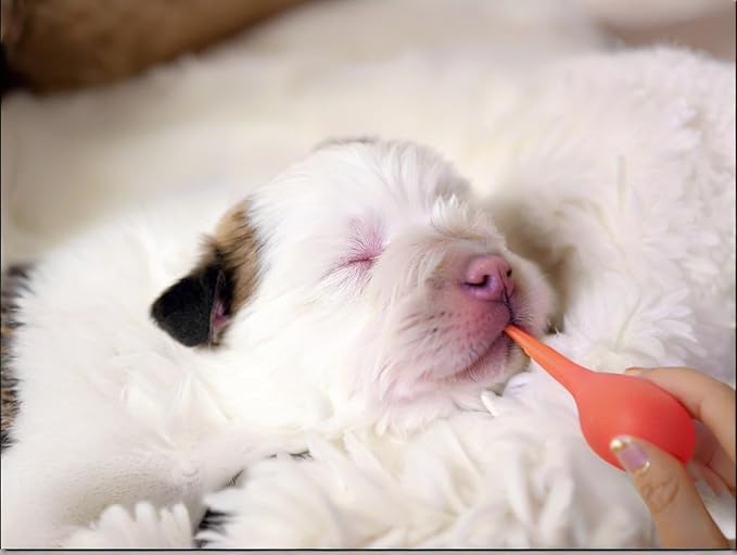 11pcs Puppy Kitten Feeding Tube Kit for Small Animals and Clear Feeding Syringe 5/10/20/30/60ml, Clear Feeding Tube, Syringe Bulb for Puppy Kitten Nestling Feeding Tools