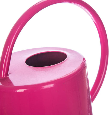 Metal Watering Can 51 Ounce Modern Style Watering Pot with Handle and Long Spout, Rose