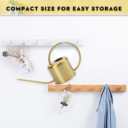 Remiawy Watering Can Indoor Outdoor Stainless Steel Watering Cans for House Plants Long Spout Water Can for Succulent Bonsai Garden Flower(40oz/1300ml)