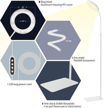 GLOWRIUM Grow Lights for Indoor Plants,20W Full Spectrum LED Plant Light with Stand,Adjustable Height,3/9/12H Timer,6 Dimmable Levels & 3 Lighting Modes (White-Single Head)