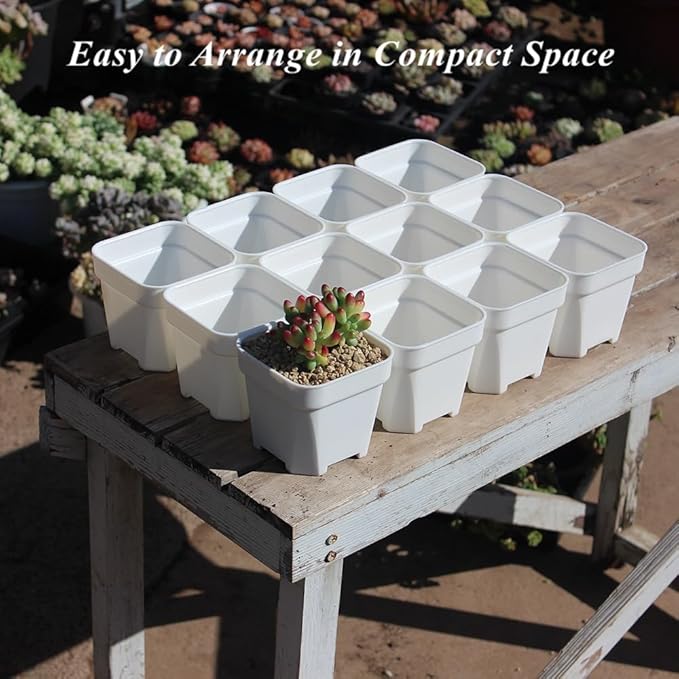 BangQiao 40 Pack 3.65 Inch White Plastic Square Nursery Seedlings Pot for Succulent, Cutting, Transplanting