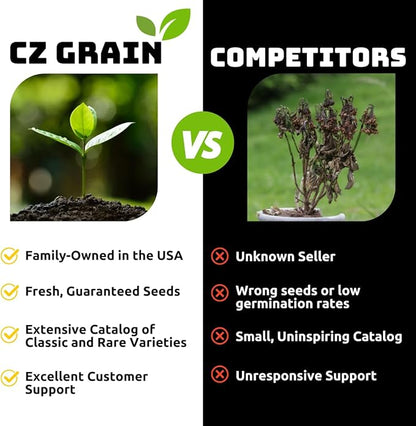 Colorful Crocus Blend Bulbs for Planting - Stunning Early Spring Blooms (50 Bulbs)