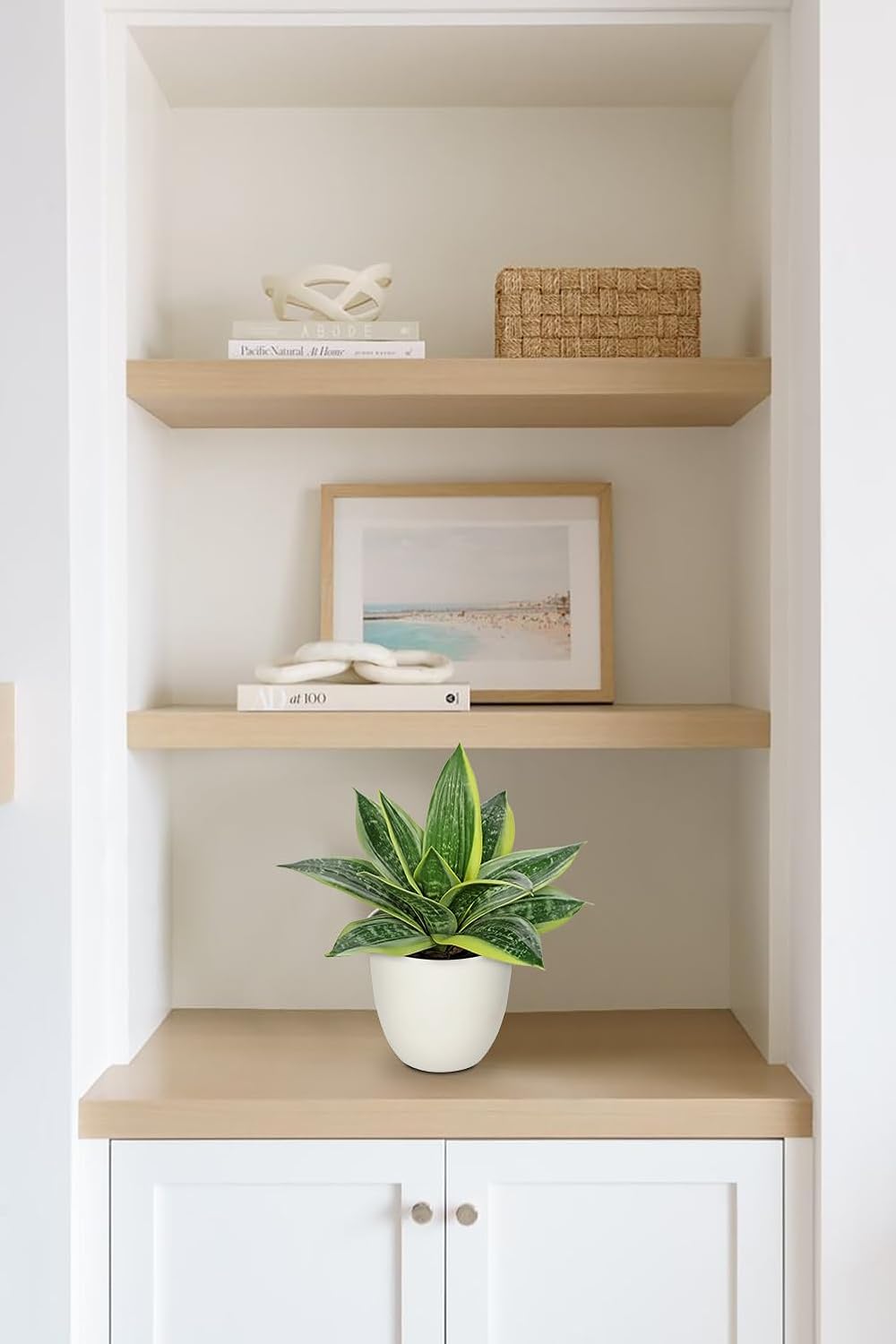 Hollyone Artificial Snake Plants 9" Faux Agave Succulent Plant Potted in White Pot Fake Sansevieria Aloe Tropical Plant for Desk Modern Office Home Bathroom Indoor Outdoor Decor