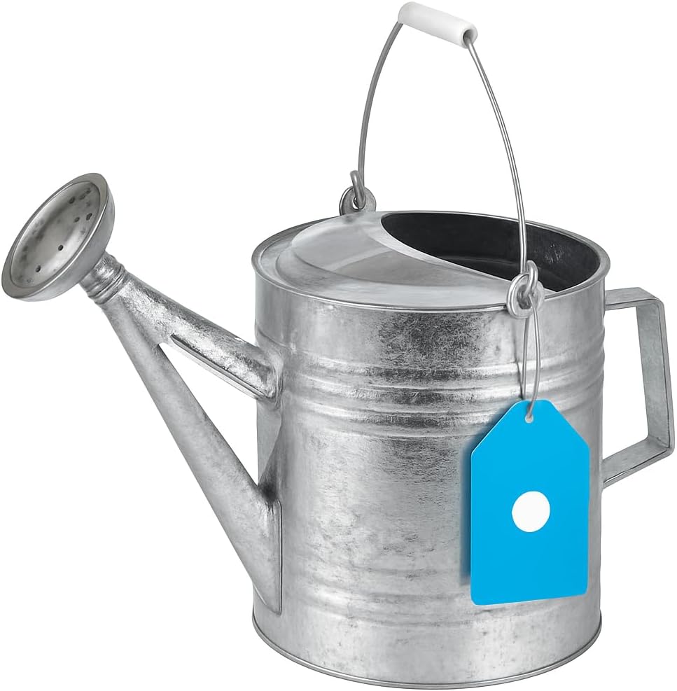 208 2-Gallon Steel Watering Can, Silver 208RH