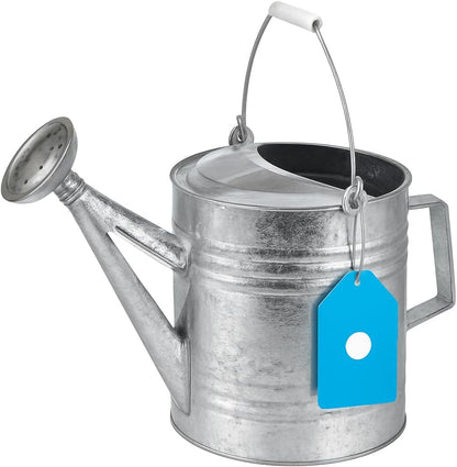 208 2-Gallon Steel Watering Can, Silver 208RH