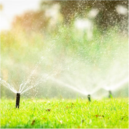 Brownie Brand Kentucky Bluegrass Seed – Premium Lawn Seed for Overseeding, Repairing Bare Spots, and Growing Thick Cool-Season Bluegrass Grass Turf