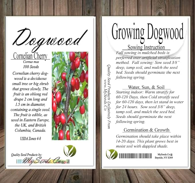 Cedar, Dogwood, Pine, Redwood, Spruce, Tree Seed by MySeeds.Co, You Choose The Color n Quantity (1 Pack, Cornelian Cherry - Big Pack)